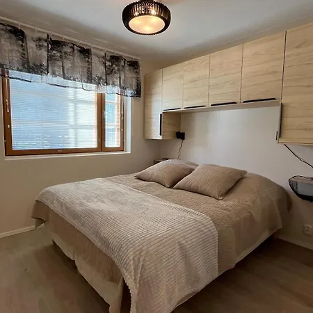 Alpine In Levi Apartman