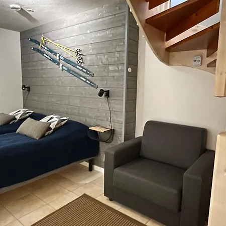 Alpine In Levi Apartman *